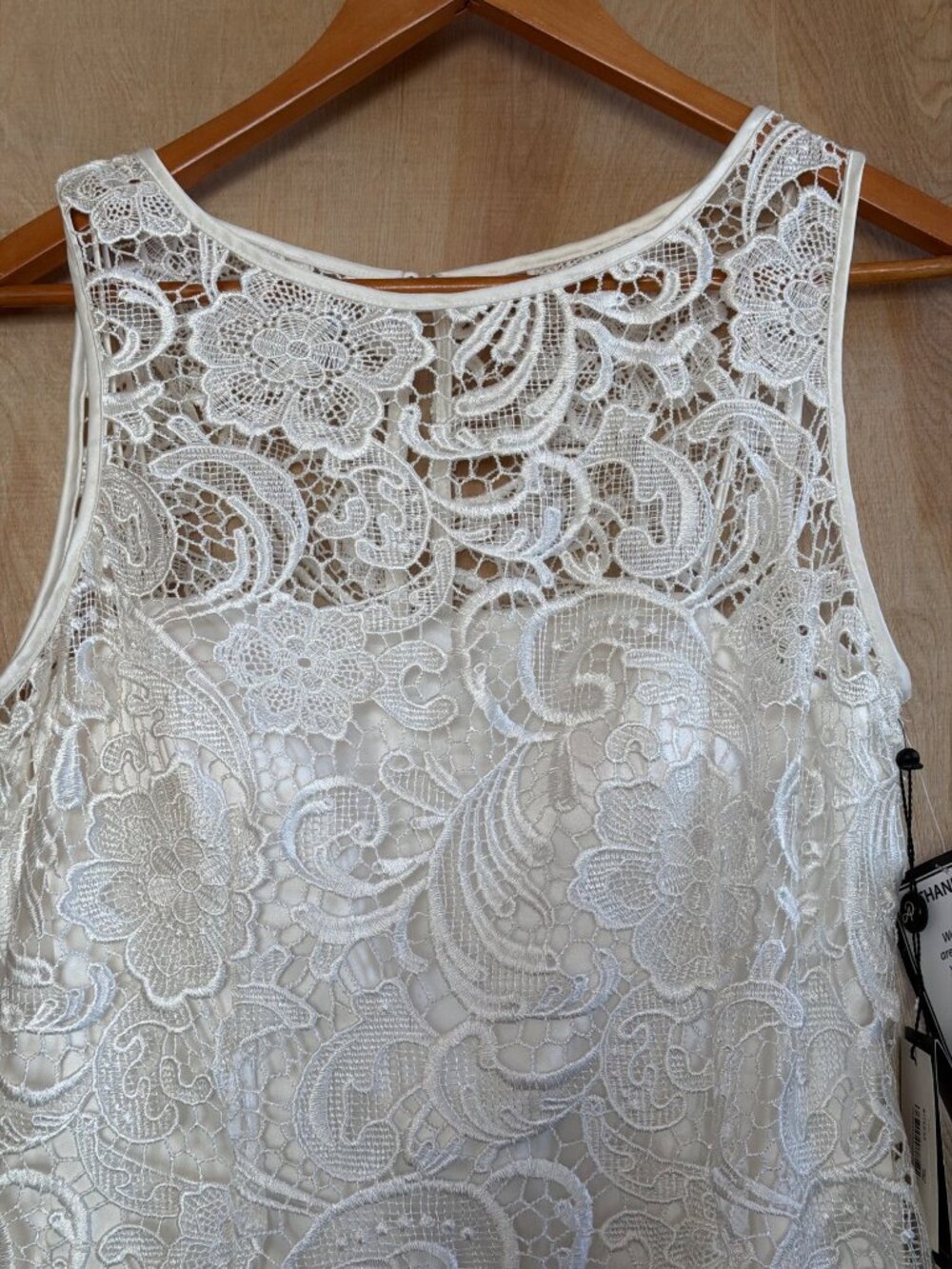 Adrianna Papell Ivory Lace Sleeveless Sheath Dress Illusion Neckline Size 10 NWT - Picture 5 of 16